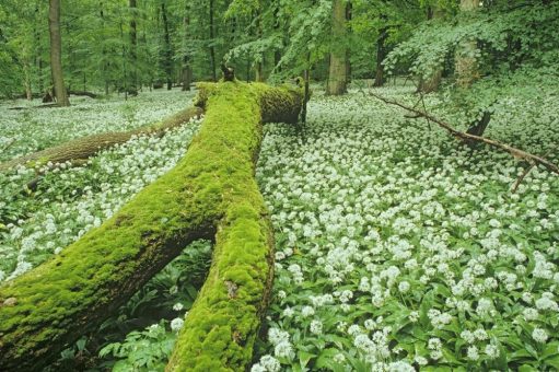 Kultur liebt Natur in der Mitte Deutschlands