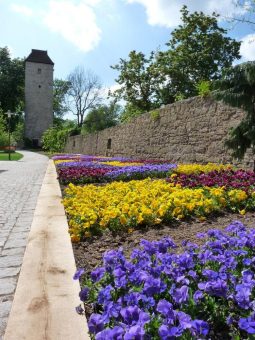 Beginn der Gartensaison 2020 in Bad Langensalza