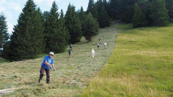 In die Ferien – für die Biodiversität