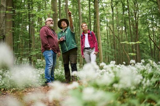 Nationalpark-Informationen öffnen ihre Türen