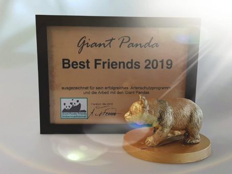 Giant Panda Best Friends Award wird eingestellt