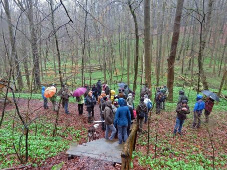 Specht-Experten aus Deutschland, Österreich und der Schweiz trafen sich im Nationalpark Hainich