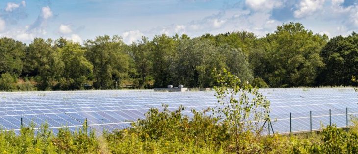 Photovoltaikanlagen auf landwirtschaftlichen Flächen: In Bayern gilt weiterhin die günstigere Grundsteuer A