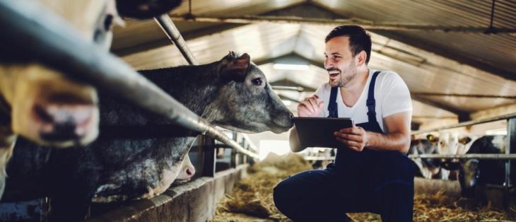 Steueränderungen 2023: Das müssen Landwirte jetzt wissen und beachten