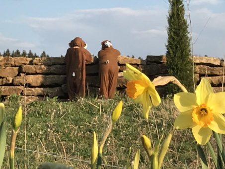 Große Ostereiersuche im Schlosspark Dennenlohe