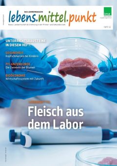 Fleisch aus dem Labor: Von der Stammzelle zum Burger