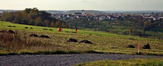 Baumpflanzaktion als Klimaausgleich für den Veedelszoch