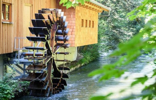 Biodiversität erhalten: Tierpark Hellabrunn ruft am „Tag der Erde“ zum gemeinsamen Naturschutz auf