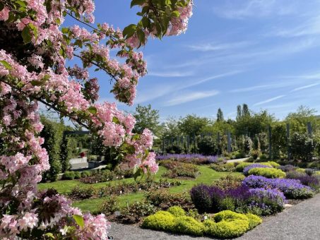 120 Jahre Rosarium Sangerhausen