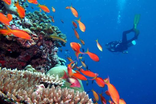 Mehr Sicherheit für Taucher im Kandima Maldives