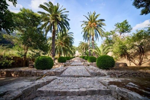 Mallorca im Frühling genießen – fünf unvergessliche Erlebnisse