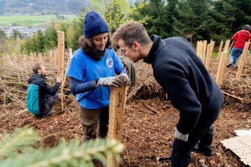 Nachhaltigkeit: Der „Freiburger Uniklinik-Wald“ entsteht