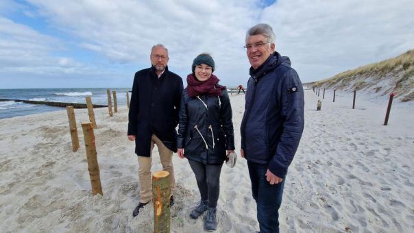 Eine unberührte Insel für Rostock: Was wäre der Strand ohne den Mensch?