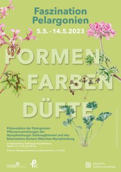 „Faszination Pelargonien. Formen. Farben. Düfte.“