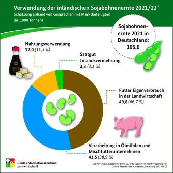 BZL auf einen Blick: Verwendung der inländischen Sojabohnenernte 2021/22