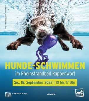 Für einen Tag ein SeeHund sein – zum sechsten Mal Hunde-Schwimmen in Karlsruhe