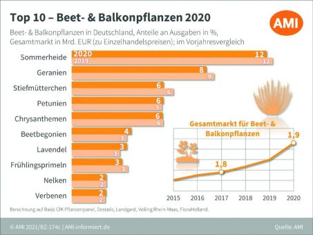 Zierpflanzenmarkt 2020 – Trotz Corona-Pandemie gewachsen