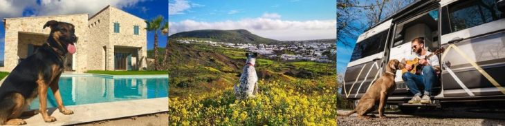 Fellnasen on Tour: Die besten Tipps für den tierisch schönen Urlaub mit Hund