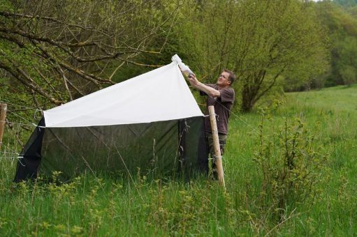 Artenvielfalt im Nationalpark von 8.500 auf rund 11.000 gestiegen