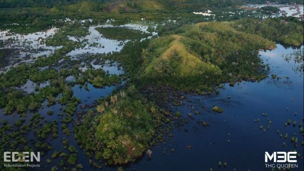 M3E THG-Quoten kooperiert zur Wiederaufforstung der Regenwälder mit Eden Reforestation Projects