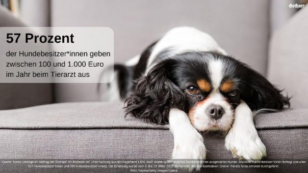 Gothaer Studie: 84 Prozent der Hundebesitzer*innen gehen regelmäßig zum Tierarzt