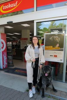 Hunde vor der „Hitzefalle Auto“ bewahren: zookauf unterstützt erneut VETO-Aufklärungskampagne