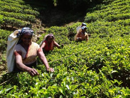 Düstere Aussichten für Sri Lanka angesichts Staatspleite und politischer Krise