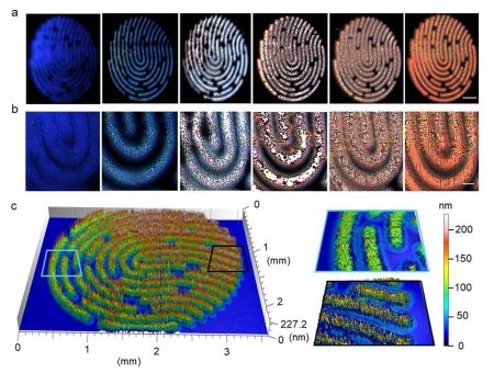 Fluoreszenzmarkierung für fälschungssichere Produkte entwickelt