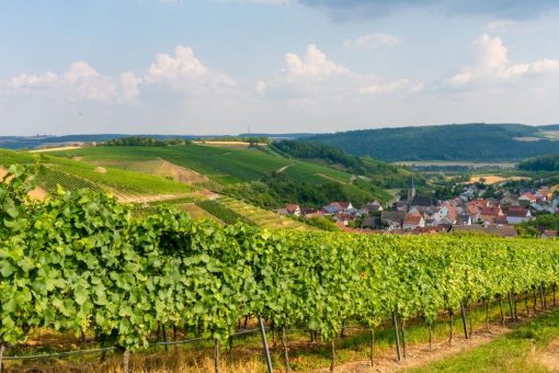 Bunte Weinkultur im „Lieblichen Taubertal“ erleben