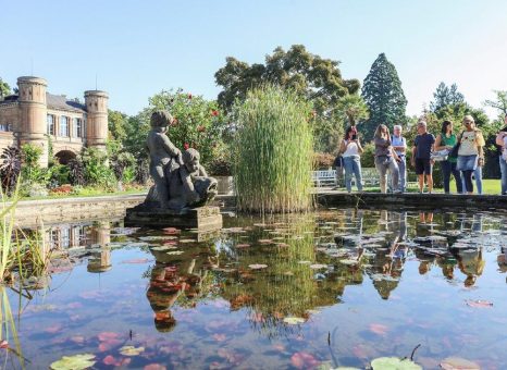 Hier kommt Genuss in Bewegung: Die Gruppenangebote der KTG Karlsruhe Tourismus GmbH laden dazu ein, den Sommer aktiv zu gestalten