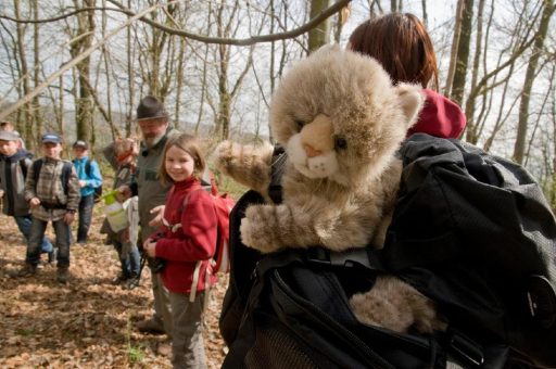 Freiwilliges Ökologisches Jahr im Nationalpark Hainich