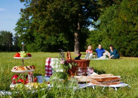 Gartenträume-Picknicktag lockt am 9. Juli in Sachsen-Anhalts schönste Parks