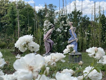 „Rose trifft Kunst“ – 4. Open-Air-Kunstausstellung