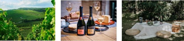 Neue Vintages aus dem Hause Charles Heidsieck