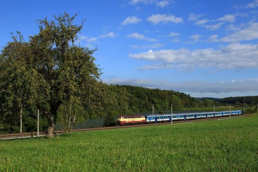 Seehasenfest: Gute Verbindungen auch nachts