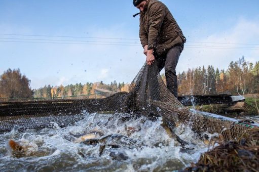 Hotspots biologischer Vielfalt: Slow Food veröffentlicht Ratgeber zu nachhaltigen Teichwirtschaften