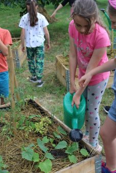 Ernährungsbildung mit Beet und Backofen: Erfolgreicher Abschluss eines deutsch-polnischen Bildungsprojekts