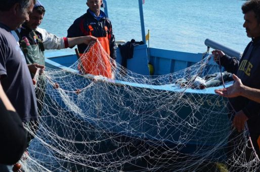 Nur noch jeder fünfte Fisch aus deutschem Fang – „End of Fish Day“ 2022 so früh wie noch nie