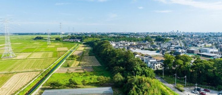 Grundsteuer: Auch Liebhabereiflächen als land- und forstwirtschaftliche Grundstücke deklarieren