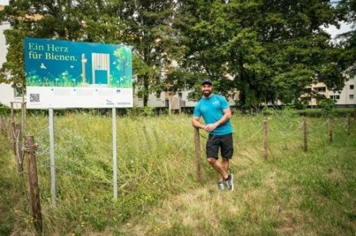 Wohnquartier in Freiburg-Landwasser blüht auf