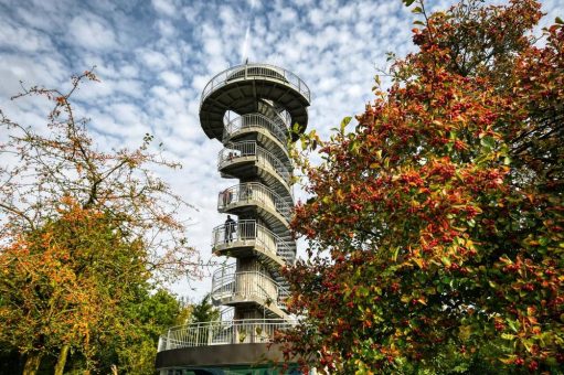 Oktober ist die Zeit der letzten Blütenpracht