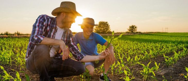 Erbschaftsteuer: Auch verpachtete landwirtschaftliche Betriebe sind begünstigt