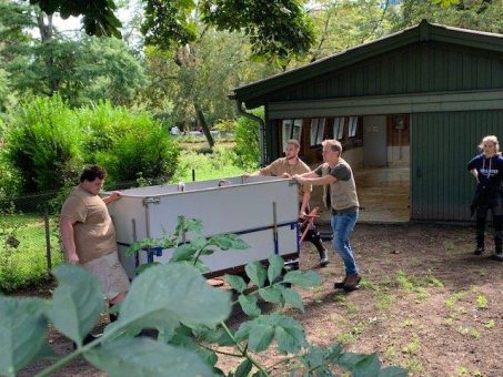 Rosa Umzug – quer durch den Zoo: 15 kleine Flamingos beziehen neues Zuhause