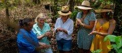 Mit indigenen Rangern auf Bush Tucker-Tour in Tropical North Queensland