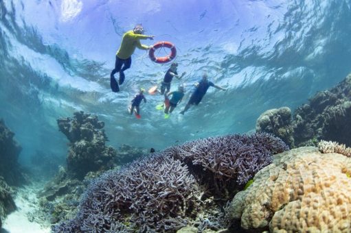 „Master Reef Guides“: Die neuen Great Barrier Reef-Botschafter