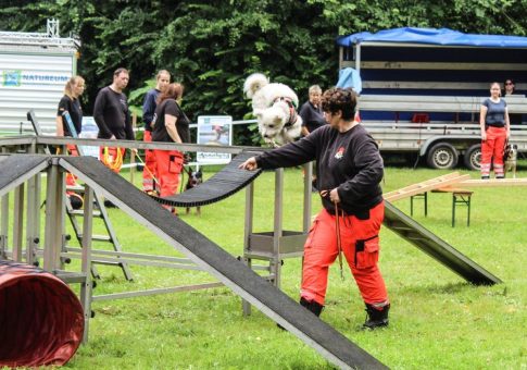 Von der Rettungshundestaffel bis zum Dog-Frisbee