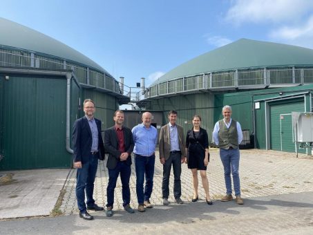 Potentialträger Biogas für mehr Artenvielfalt: Erneuerbare Energie aus blühenden Feldern