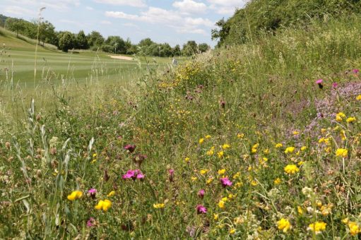 Baden-Württembergischer Golfverband e.V. veranstaltet das  2. Umweltsymposium am 04. Oktober 2023 im Golfclub Domäne Niederreutin