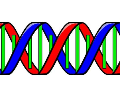 Studie über den Zusammenhang von Genmutation und tiefer Hirnstimulation