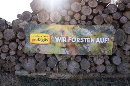 Gemeinsam Wurzeln wachsen lassen – proFagus® forstet auf